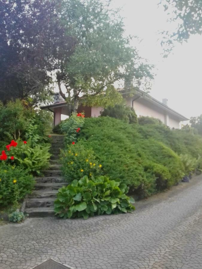Appartamento El Campizòl Drena Esterno foto