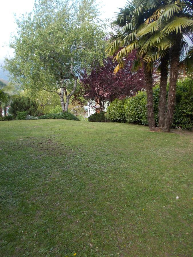 Appartamento El Campizòl Drena Esterno foto